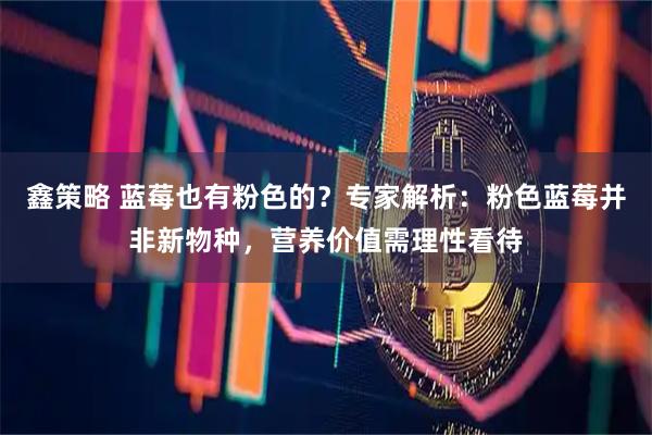 鑫策略 蓝莓也有粉色的？专家解析：粉色蓝莓并非新物种，营养价值需理性看待