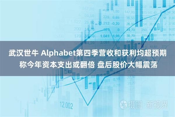 武汉世牛 Alphabet第四季营收和获利均超预期 称今年资本支出或翻倍 盘后股价大幅震荡