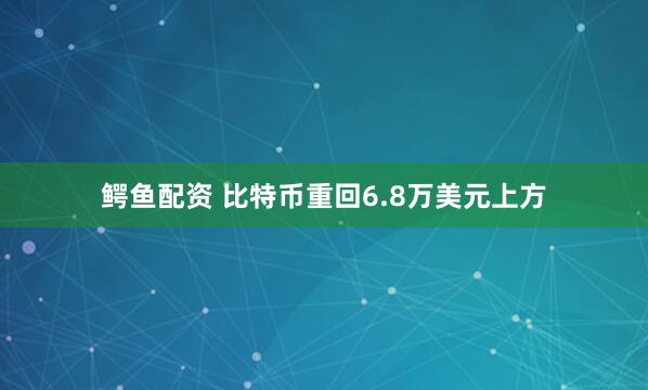 鳄鱼配资 比特币重回6.8万美元上方