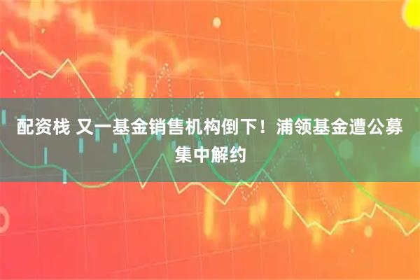 配资栈 又一基金销售机构倒下！浦领基金遭公募集中解约