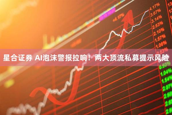 星合证券 AI泡沫警报拉响！两大顶流私募提示风险