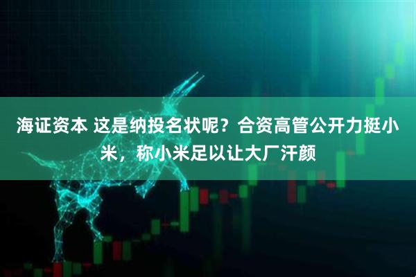 海证资本 这是纳投名状呢？合资高管公开力挺小米，称小米足以让大厂汗颜