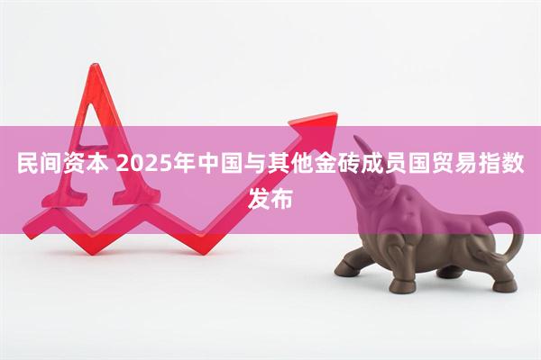 民间资本 2025年中国与其他金砖成员国贸易指数发布